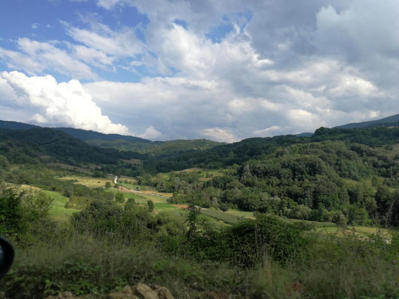Juzni Vetar Къща за гости Trnski Odorovci