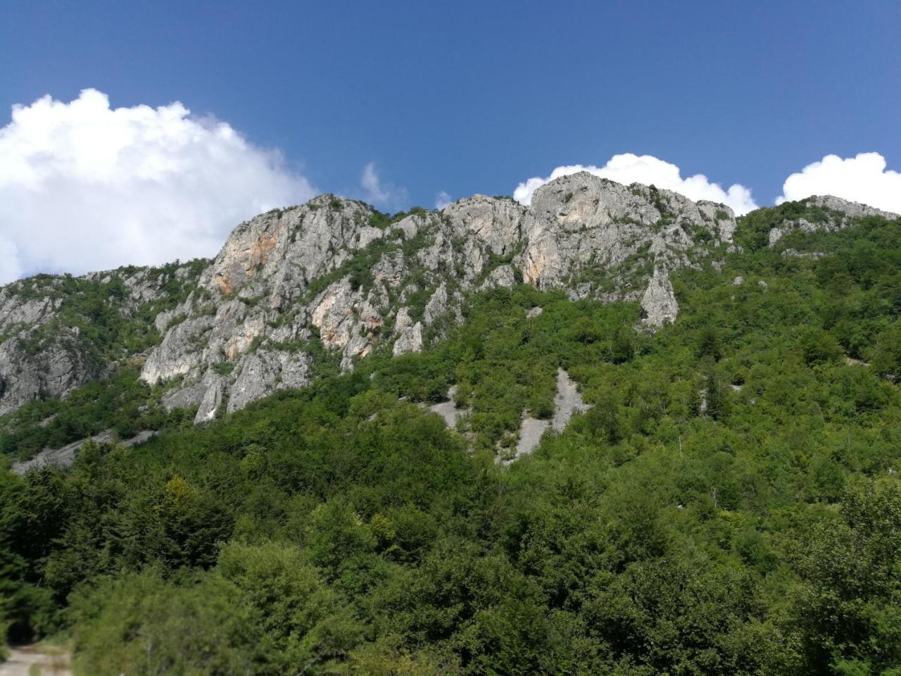 Juzni Vetar