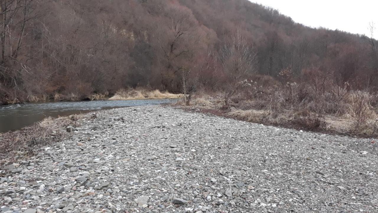 Juzni Vetar